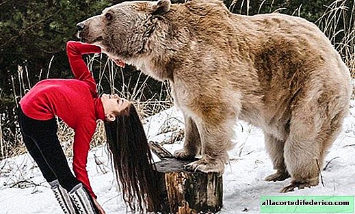 Ginasta austríaca organizou uma sessão de fotos com um urso pardo