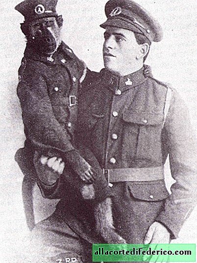 Baboon Jack, qui s'est battu après le propriétaire et est devenu un héros de la Première Guerre mondiale