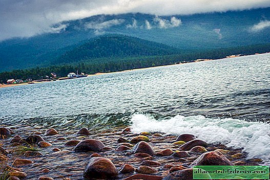 Baikal er i fare: olie kommer dagligt i vandet i en unik sø