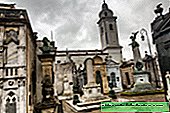 Tales from the crypt. Recoleta Cemetery