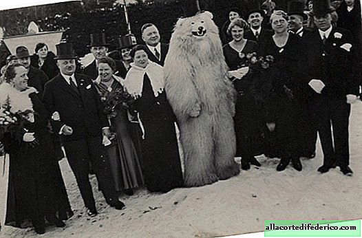 Polar bears in the history of Germany: a collector found many strange photos with bears