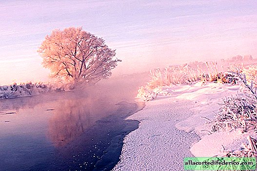 De Wit-Russische fotograaf wordt vroeg in de ochtend wakker om de unieke schoonheid van de winter vast te leggen