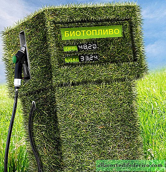 Biobrændstoffer: hvorfor eufori fra dens produktion erstattes af skuffelse