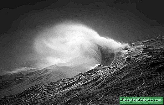 Incredible shots of the winners of the black and white photography contest BPOTY 2018