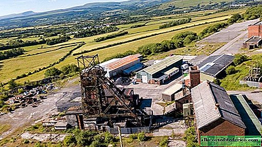 El plan británico para convertir las minas de carbón abandonadas en granjas de hortalizas