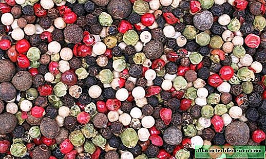 Negro, blanco, rosa, verde, fragante: cómo crece la pimienta