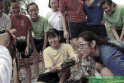 Ett svartvitt foto kretsade runt nätet eftersom människor ser det i färg