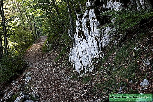 Čerovák - det største hulekompleks i Kroatien