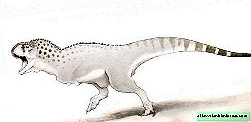 What is known about the "last dinosaur of Africa"