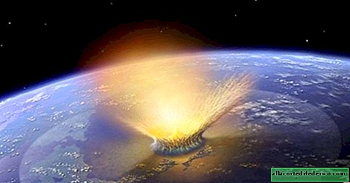What happened after the fall of the asteroid that killed the dinosaurs