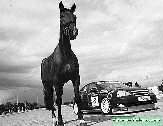 What is horsepower and what is it equal to