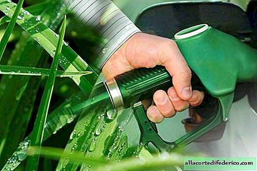 The wonders of the Brazilian economy: when there is not enough oil, fuel can be grown in the field