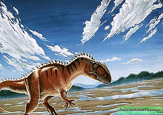 Los hocicos sensibles ayudaron a los dinosaurios a comer bien