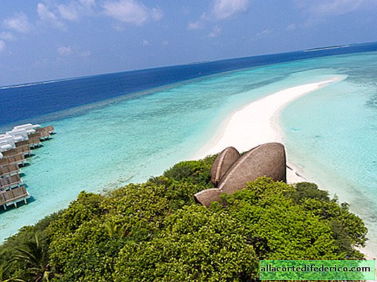 Skattadress - Dhigali Maldiverna