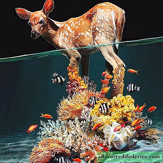 حيوانات برية بين عالمين في لوحات واقعية لليزا إريكسون