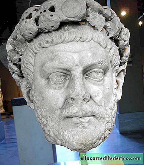 Dioclétien: empereur romain qui a quitté le trône pour la culture du chou