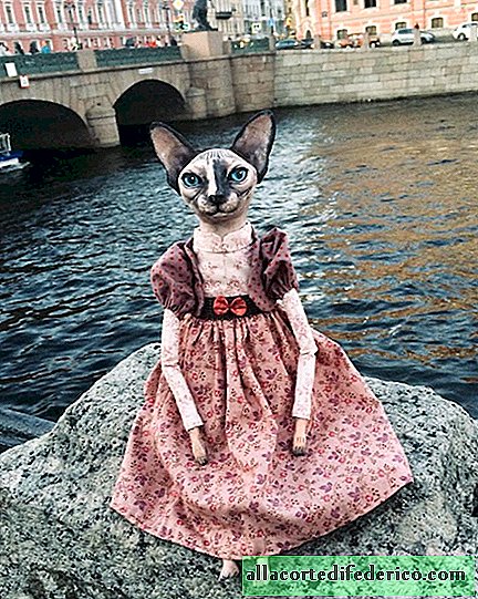 นักออกแบบจากเซนต์ปีเตอร์สเบิร์กสร้างแมวที่น่าทึ่งและถ่ายภาพพวกมันตามฉากหลังของเมือง