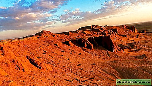 El valle de los dinosaurios en Mongolia nuevamente complació a los científicos con un magnífico hallazgo