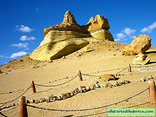 وادي الحيتان في مصر: مرة واحدة في الصحراء رش البحر الدافئ