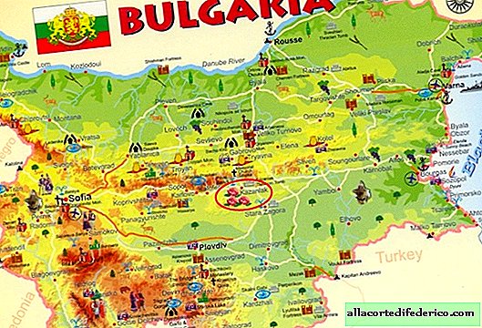 Vallée des roses en Bulgarie: comment obtenir de l'huile de rose précieuse