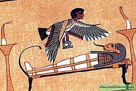 Själen ur egyptiernas synvinkel: vad den bestod av