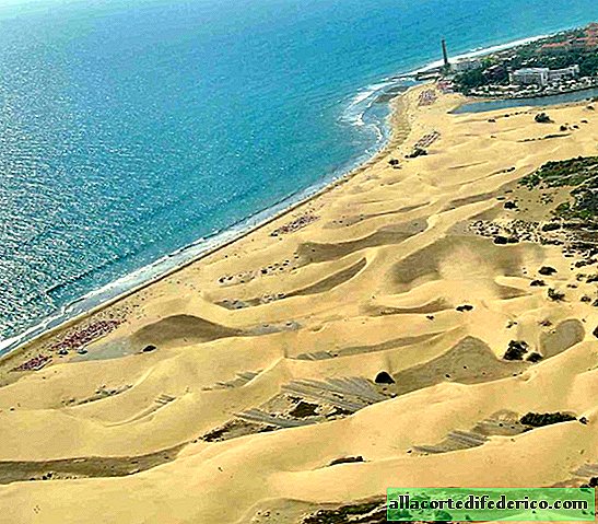 Dunes de Maspalomas - Montagnes de sable inhabituelles en mouvement dans les îles Canaries