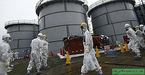 Fukushiman ympäristövaikutukset - se on vasta alkamassa