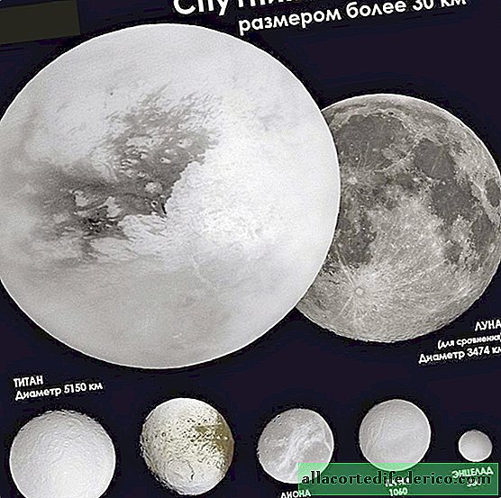 Encelade Budding: Pourquoi la lune de Saturne est considérée comme vivable