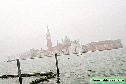 Il est interdit: quoi d'autre ne peut être fait à Venise