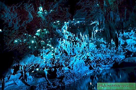 ¡Esto no es un photoshop o una imagen de un cuento de hadas, sino una cueva real en Nueva Zelanda!