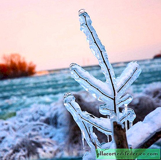 The phenomenal cold in Canada made Niagara freeze and turned the country into Narnia