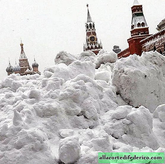 The phenomenal snowfall in Moscow in vivid photos from the Muscovites Instagram