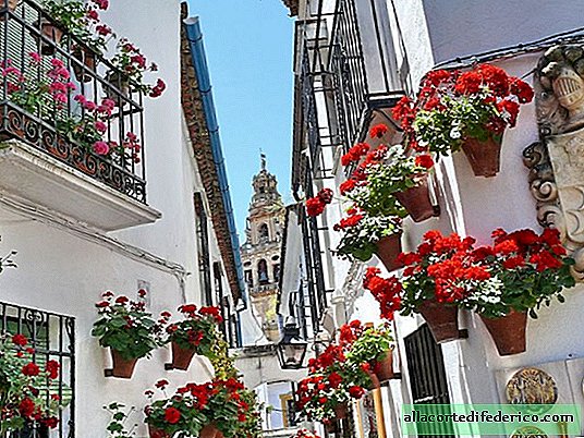 مهرجان الألوان على الفناء الإسباني. حياة جميلة من الاسبان العاديين