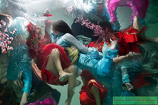 Fotógrafo havaiano tira fotos barrocas subaquáticas de tirar o fôlego