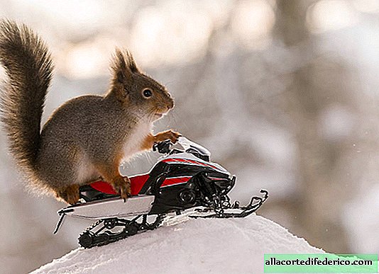 Fotograf nimmt Eichhörnchen in den Bildern der olympischen Athleten