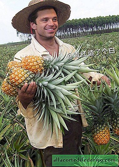 Photographer turns Hollywood stars into Chinese farmers