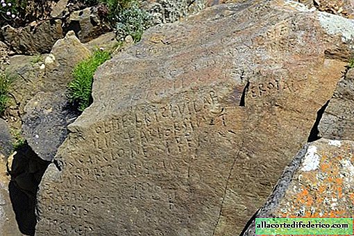 France promises reward to anyone who can read the text on a mysterious stone