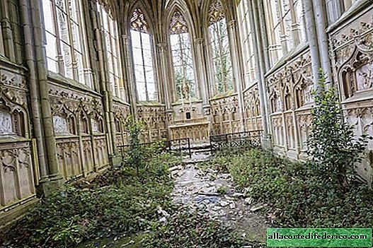 Frenchman rents incredibly beautiful abandoned buildings that nature has taken