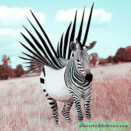 El artista francés convierte a los animales en criaturas fantásticas con Photoshop