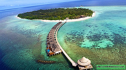Maldiverne Furaveri Island Resort & Spa er et sted, der vil fange dit hjerte