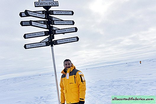 Hvor det er koldere: på Nordpolen eller mod syd