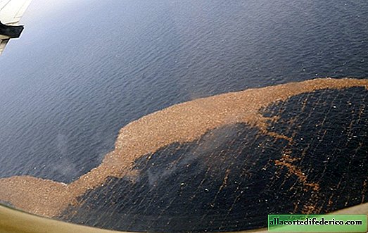 Les accumulations géantes de débris dans l'océan vont bientôt prendre fin