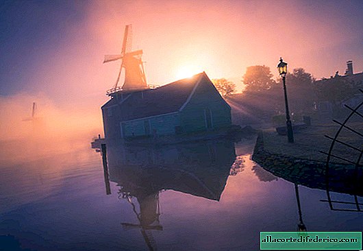 Niederländische Windmühlen im Nebel - eines der magischsten Spektakel der Welt