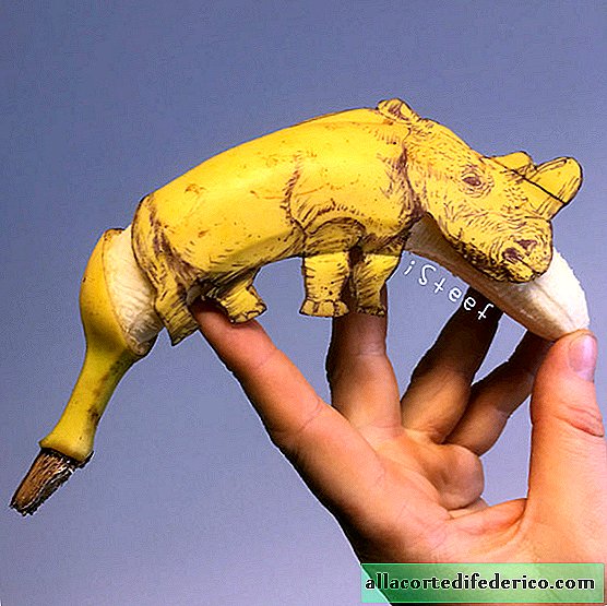 Holländska konstnär förvandlar bananer till konstverk