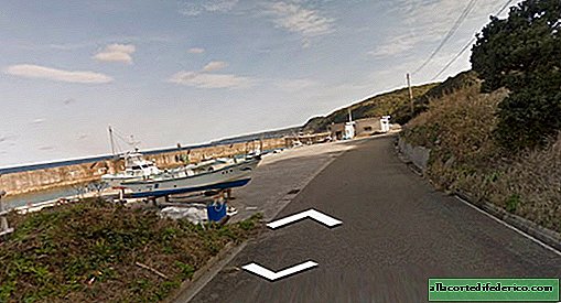 In Japan "plukte" de hond het schieten voor kaarten, achtervolgde de auto Google Street View