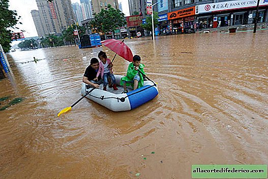 Sponge City: hoe te ontsnappen aan overstromingen en overtollig water te bewaren tot droogte