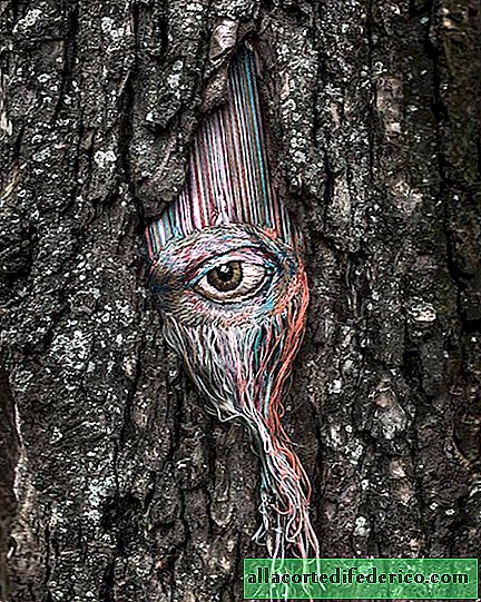 The artist amazingly combines her embroidery with nature, creating incredible frames.