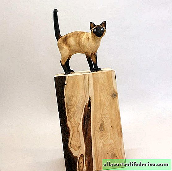 De kunstenaar maakt ongelooflijk realistische sculpturen van huisdieren van een boom