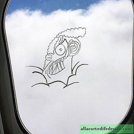 De kunstenaar laat tijdens elke vlucht koele tekeningen achter op de ramen van het vliegtuig.