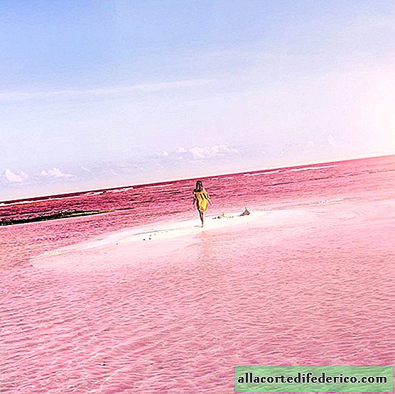 Natürliche rosa Lagune in Mexiko - ein Ort, der Ihres eigenen Instagram-Kontos würdig ist